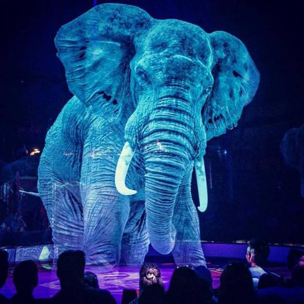3D слон в цирковом шоу